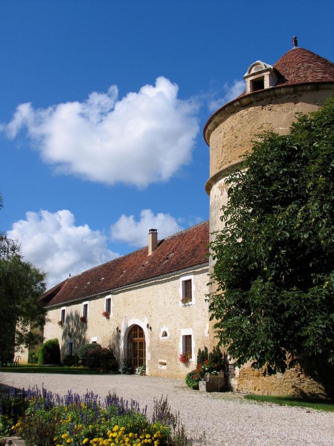 Chateau De Ribourdin Chevannes  Eksteriør billede