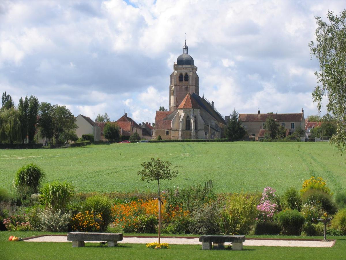 Chateau De Ribourdin Chevannes  Eksteriør billede