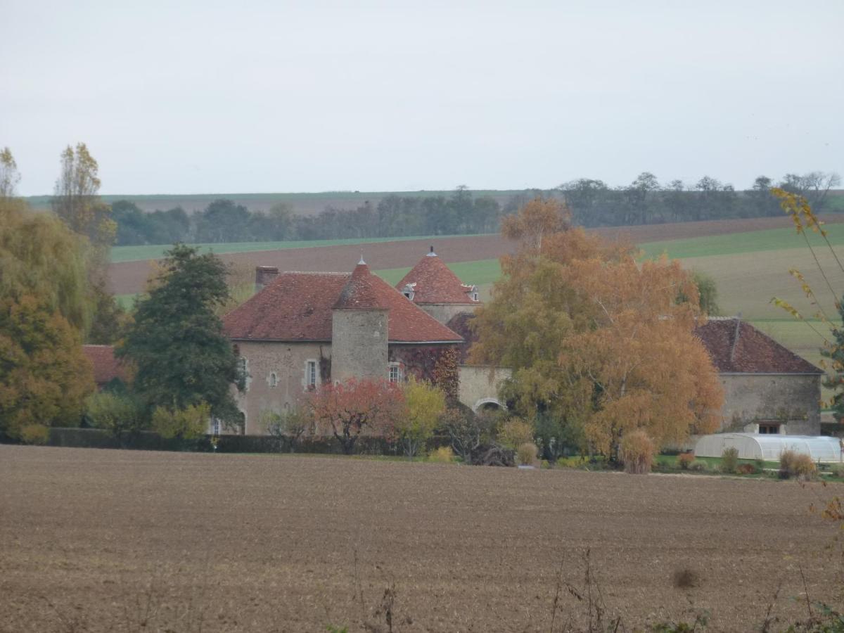 Chateau De Ribourdin Chevannes  Eksteriør billede